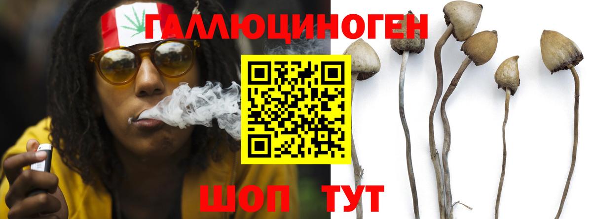 Отрадный  Псилоцибиновые грибы мухоморы  Вход с VPN 